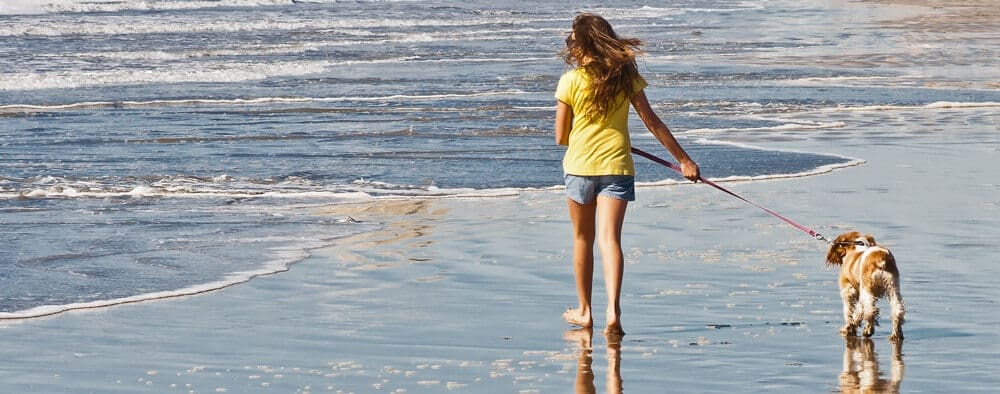 obx Leash Laws