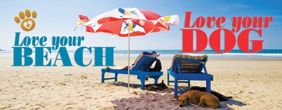 Love Your Dog, Love Your Beach