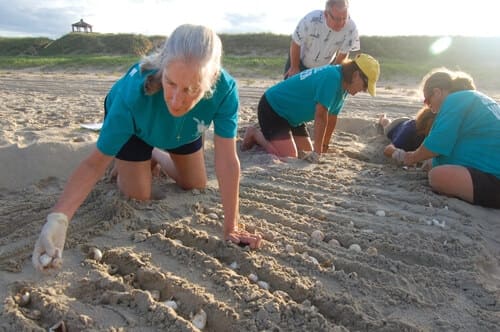 NEST-Volunteer-1