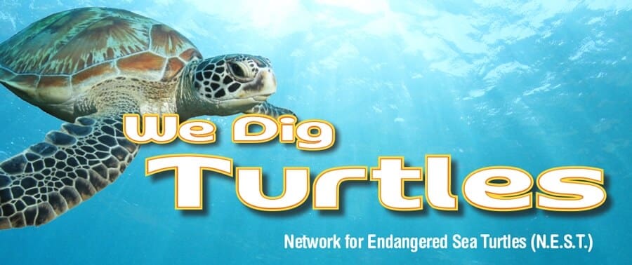 N.E.S.T. – We Dig Turtles