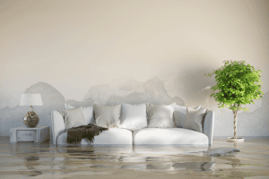 homeowners insurance outer banks nc - flood
