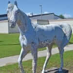 outer banks winged horses