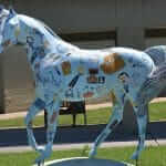 outer banks horses