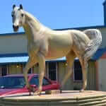 Horse 28