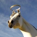 outer banks horse statues