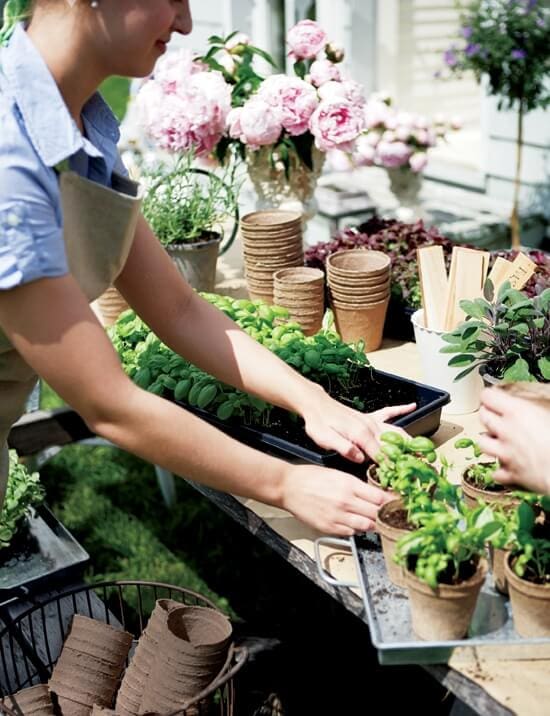 planting party