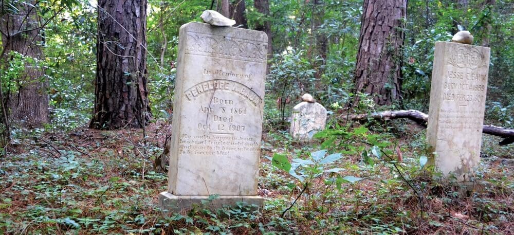 grave-baum1-sm