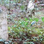 Grave feature