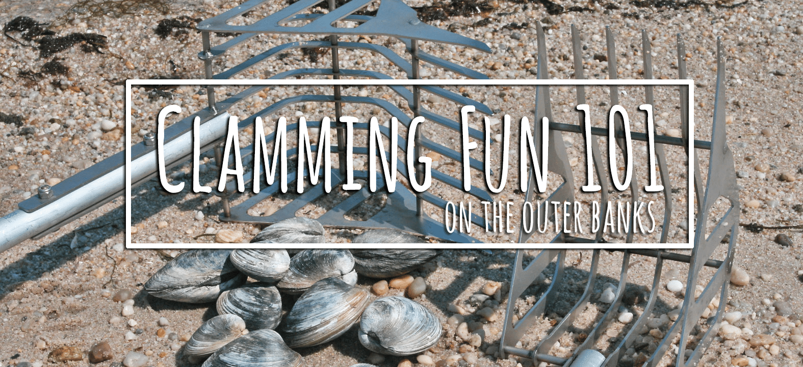 Clam Digging 101