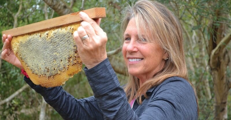 Bees-Deacon Bees Deacon