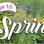 Spring Outer Banks Recipes