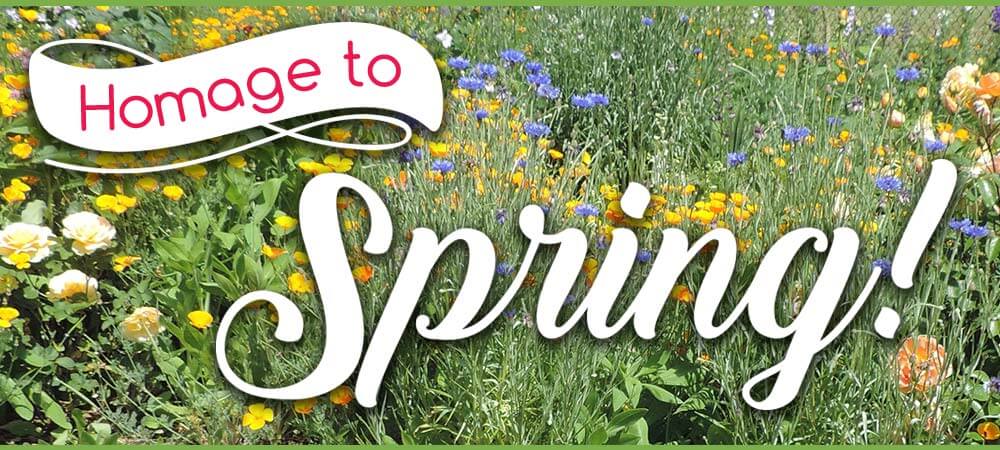 Homage to Spring!