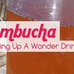 Spring Recipes Kombucha Tea