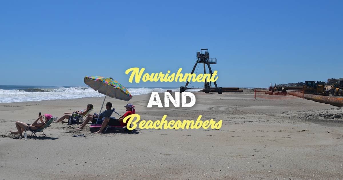Beach Nourishment May Replenish Shell Beds For Beachcombers