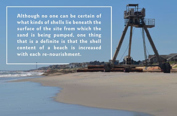 Beach nourishment beachcombers