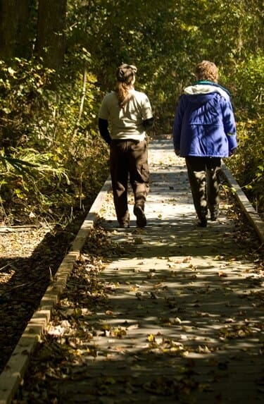 Dismal Swamp