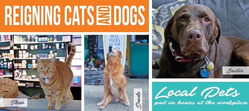 Reigning Cats and Dogs: Local Pets Put In Hours At The Workplace