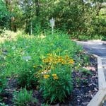Arboretum main