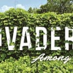 Invaders fb