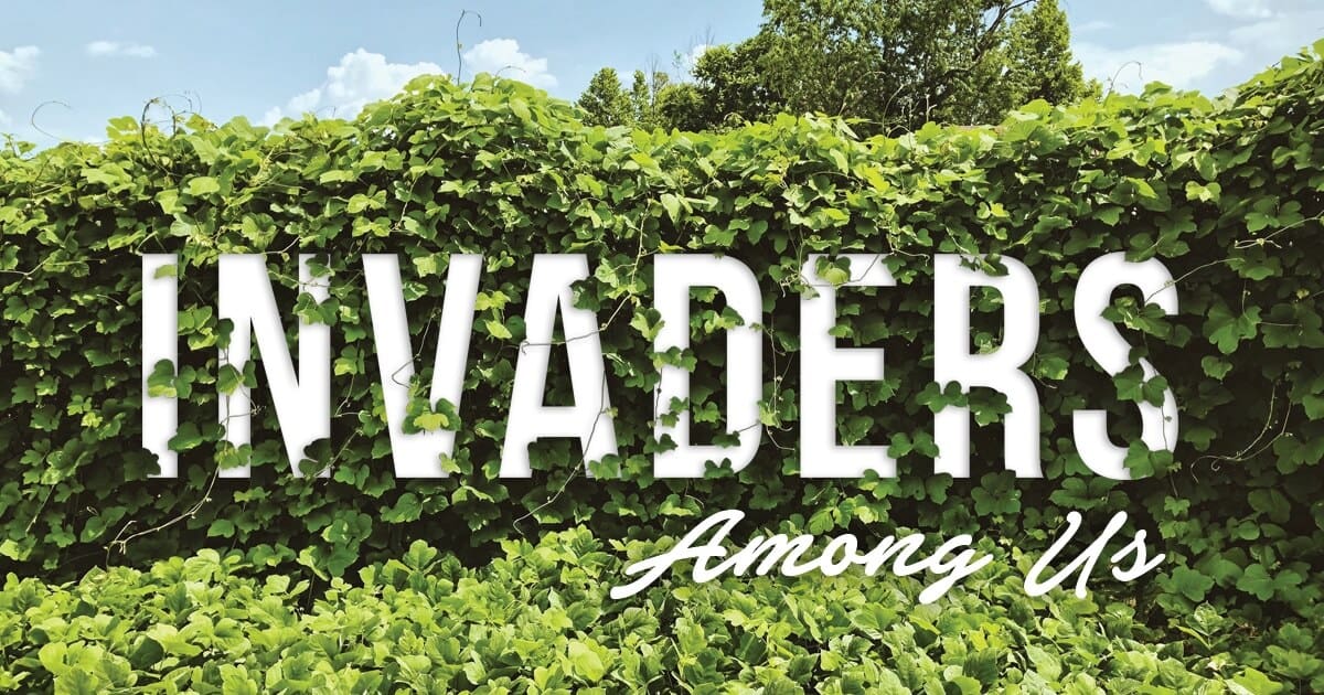Invaders Among Us