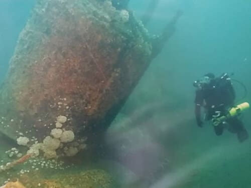 Diving