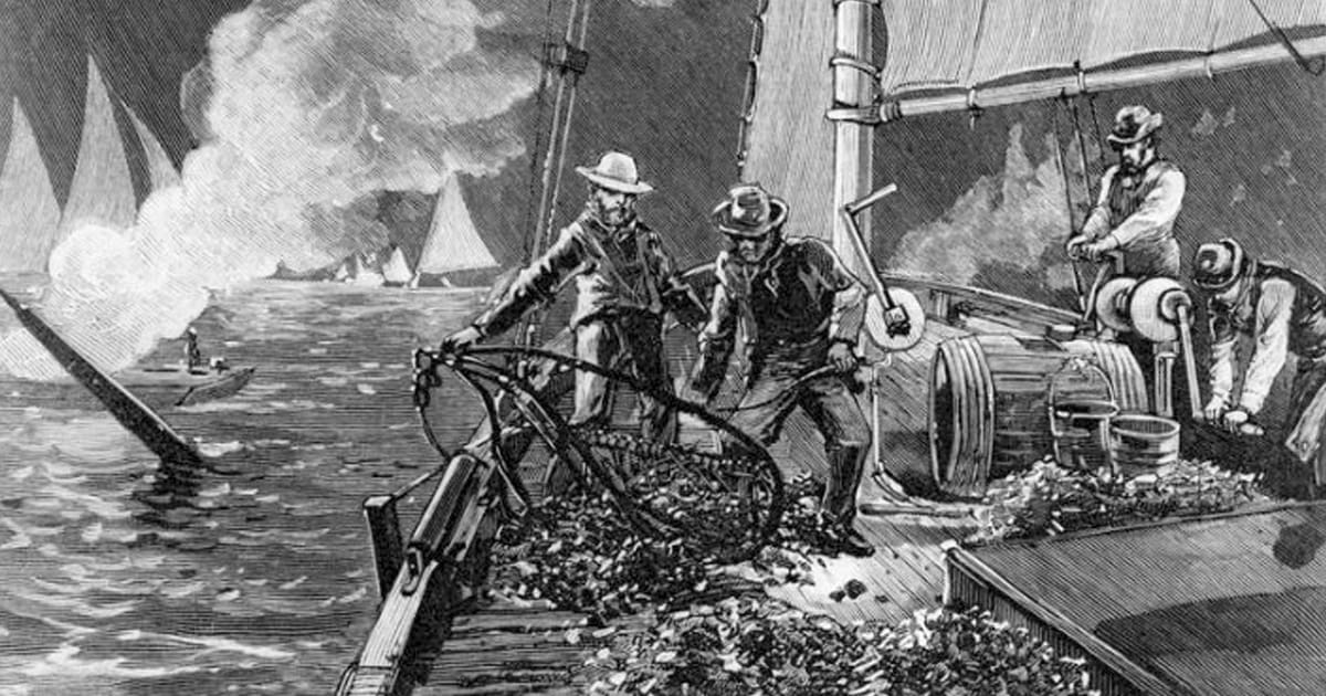 north carolina oyster wars