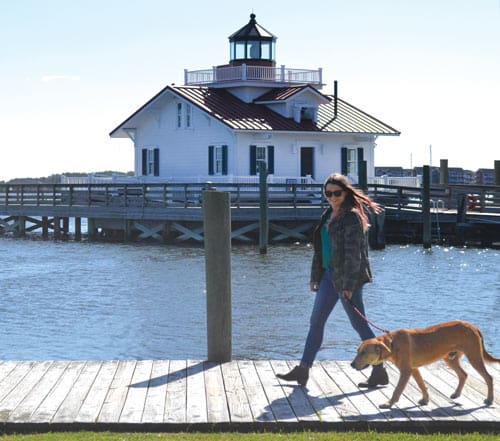 foster with obx spca