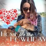 fostering with obx spca