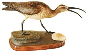 bird decoys outer banks
