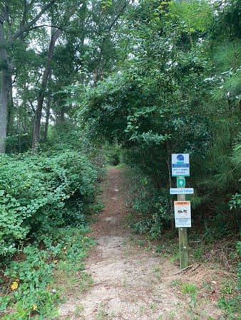 kitty hawk hike