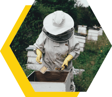 outer banks bee keeper