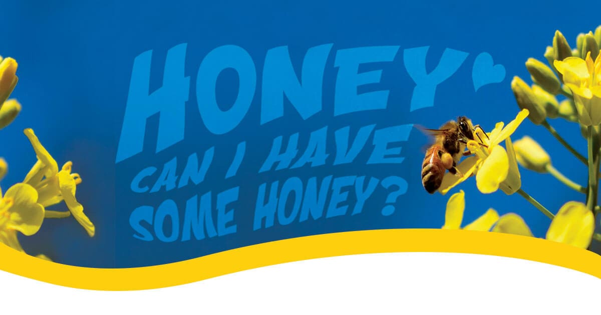 Outer Banks Honey