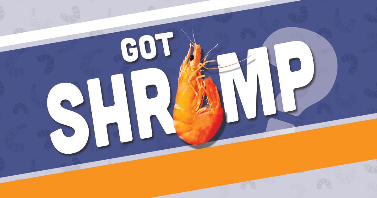 Outer Banks Shrimp Recipes