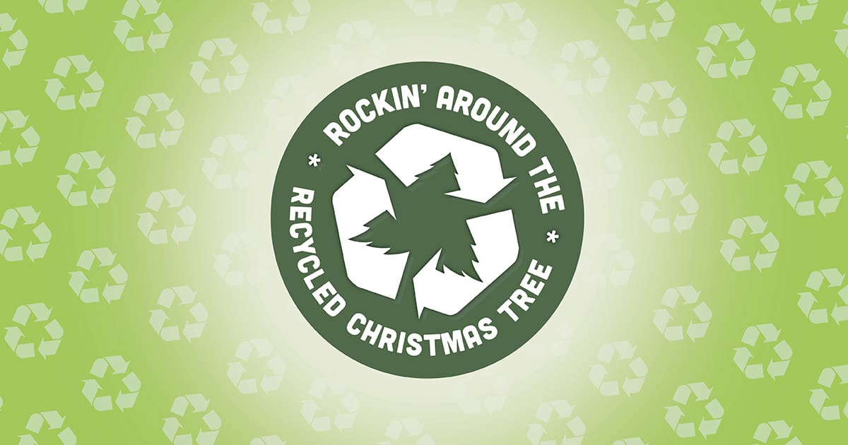 Recycled Christmas Trees