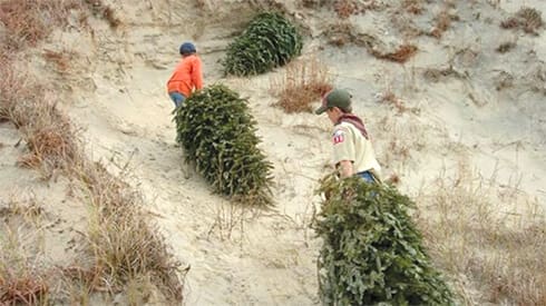 obx recycle trees obx recycle trees