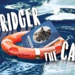 obx Bridget the cat