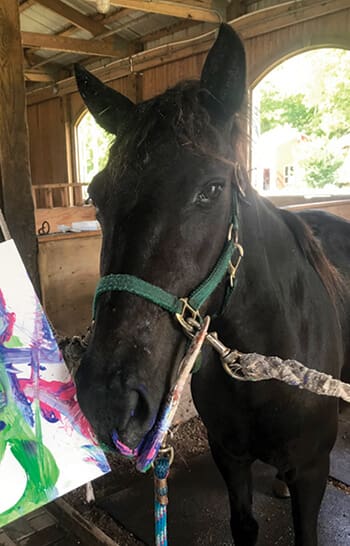 corolla wild horse paint