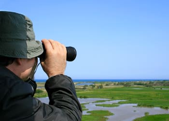 Outer Banks: A Birder’s Paradise