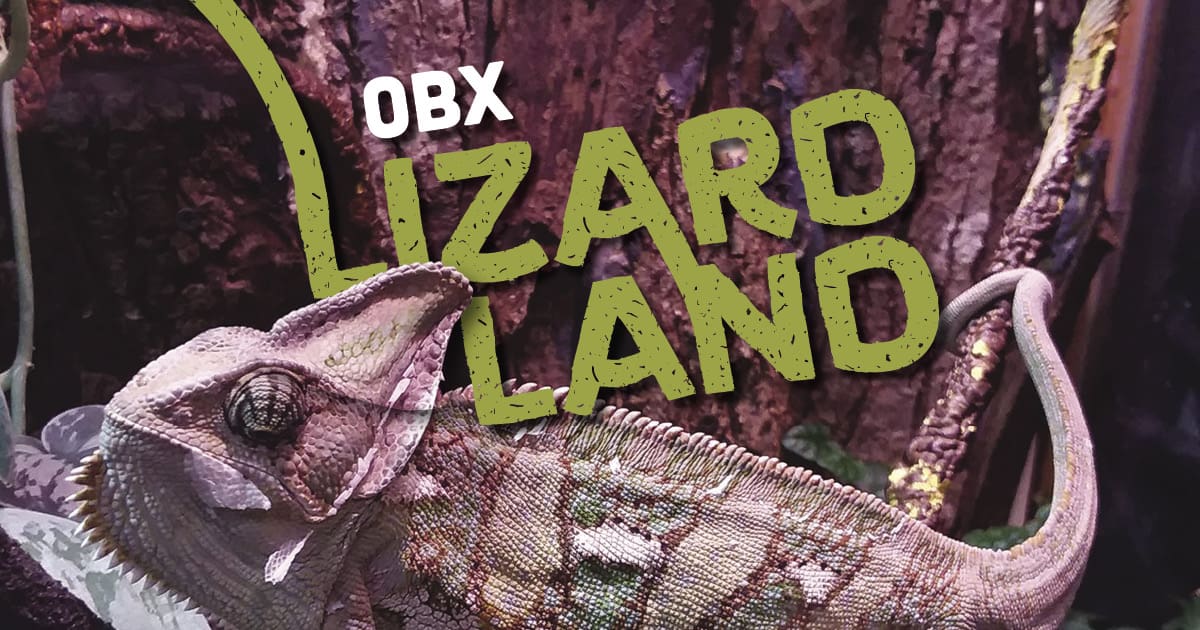 OBX Lizard Land