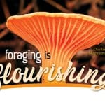 obx foraging