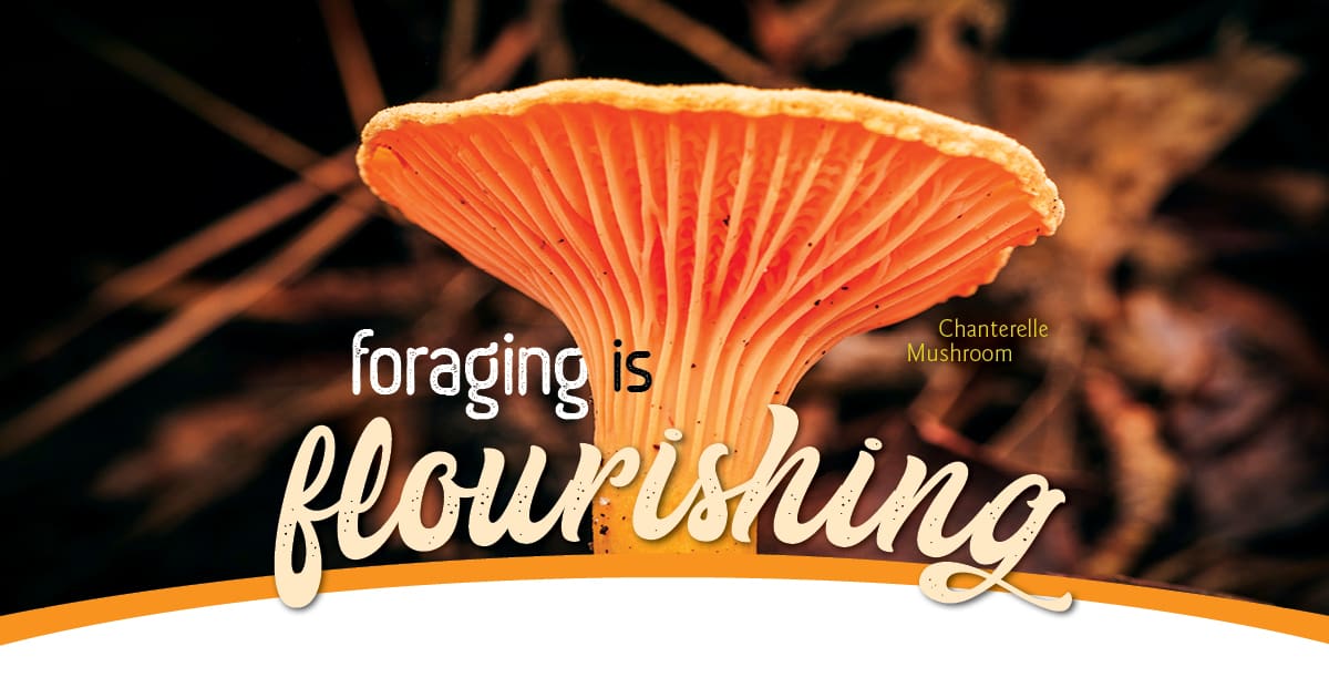 Foraging is Flourishing