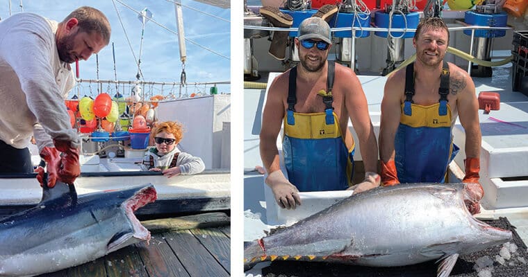 fresh catch tuna