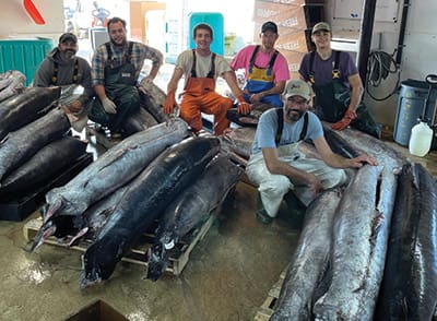 fresh catch workers