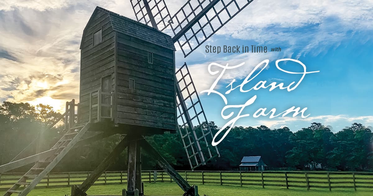 Island Farm