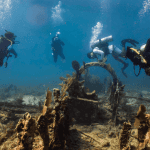 outer banks diving