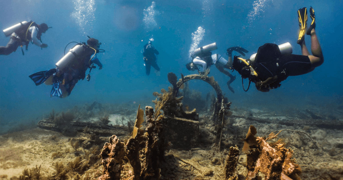 Diving with a Purpose