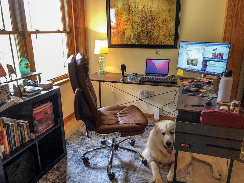 Writer of this piece, Ann Wood’s corner office, complete with Bear, her Great Pyrenees foot warmer and zoom photo bomber. Photo: Ann Wood