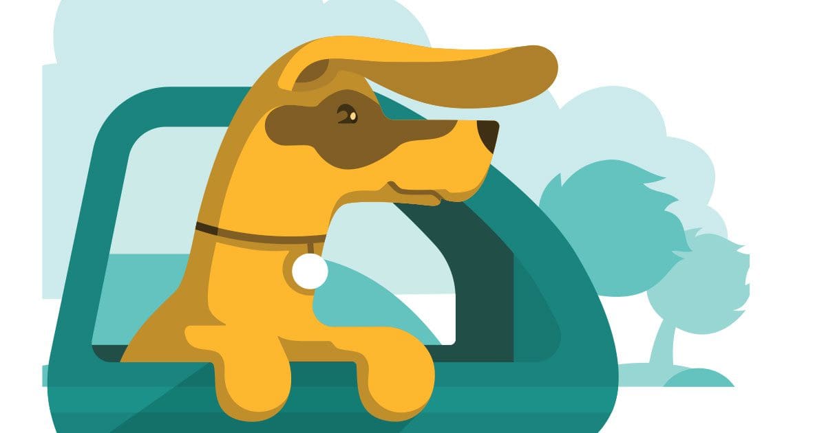 Pet Adoptions on the Outer Banks