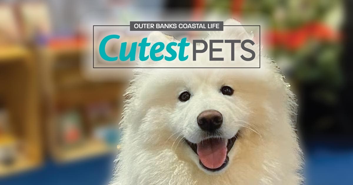 2025 Outer Banks Coastal Life Cutest Pets Winners