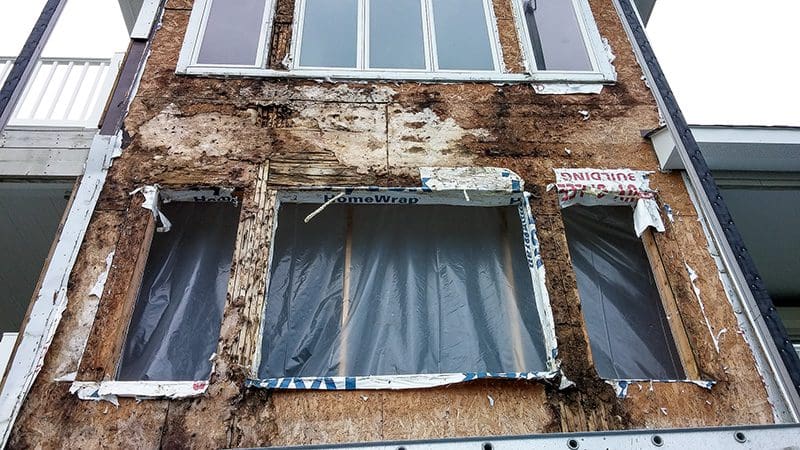 NC Building Code requires that the contractor remove siding and trim until sound plywood is located. Any plywood with signs of rot needs to be removed and the framing behind it needs to be inspected. 